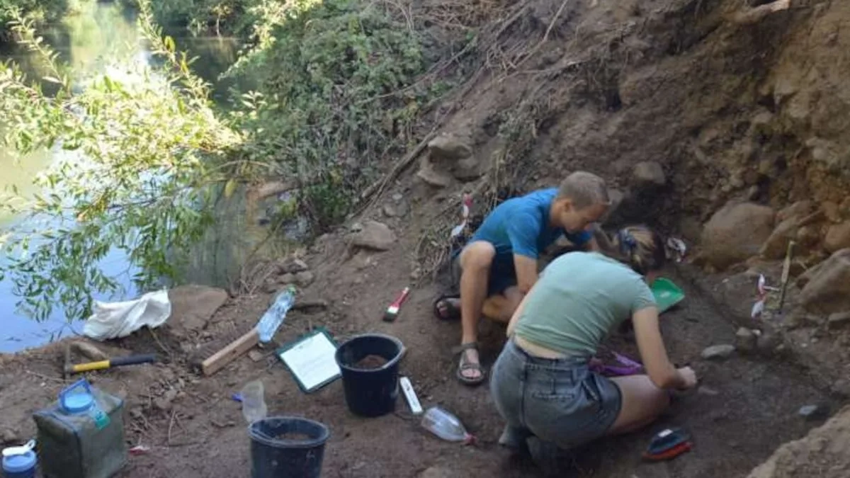 Diente de elefante de 700.000 años revela ecosistema prehistórico en Israel