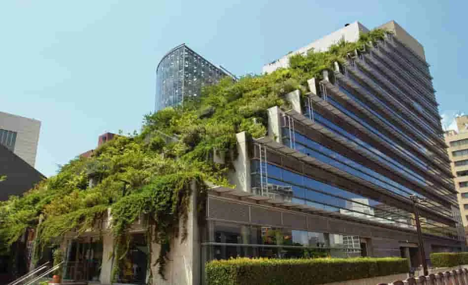 El impacto de la arquitectura verde en la sostenibilidad urbana.