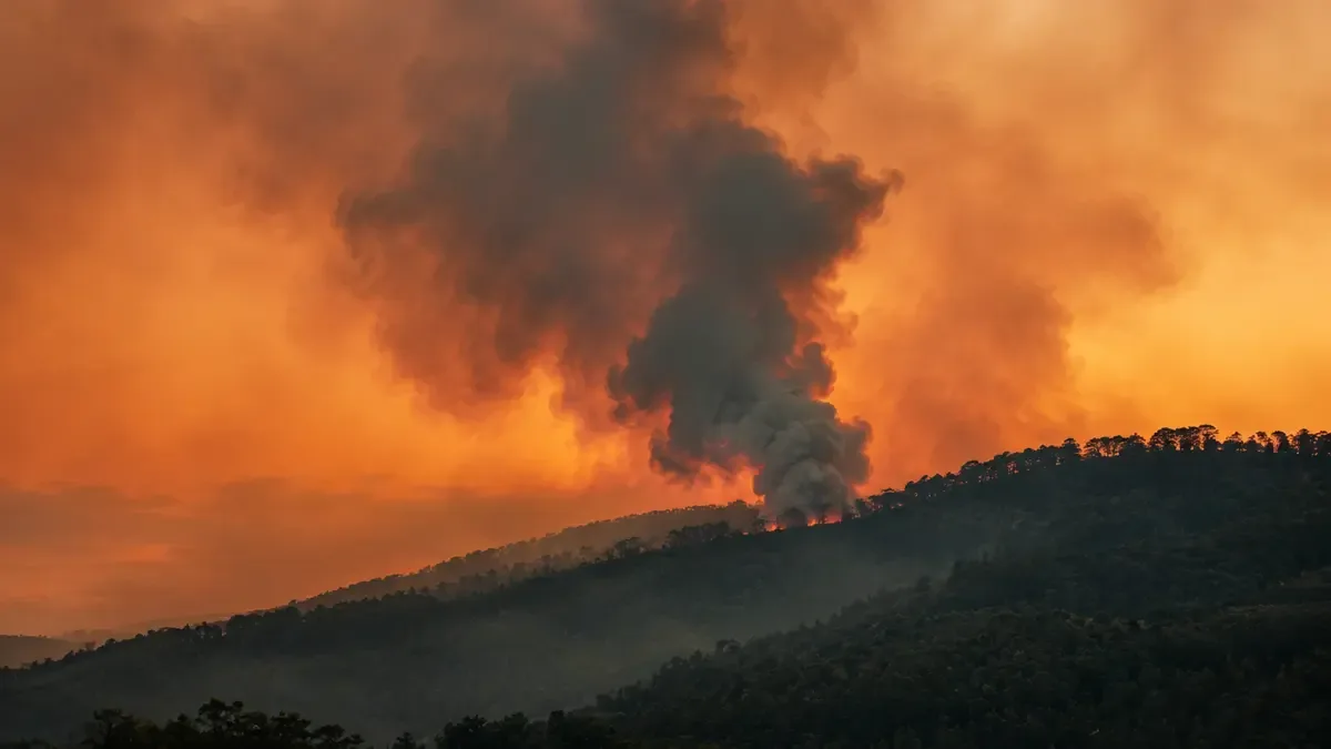 Columna de humo elevándose sobre una ladera boscosa