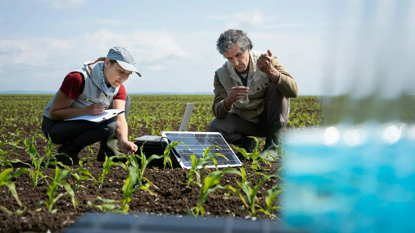 La energía solar impulsa la agricultura y la restauración de tierras