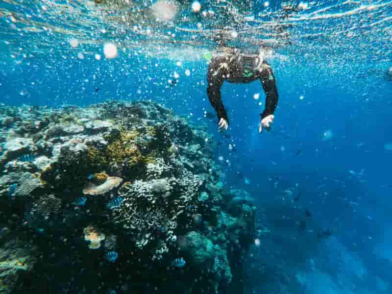 La importancia de la preservación de ecosistemas acuáticos.