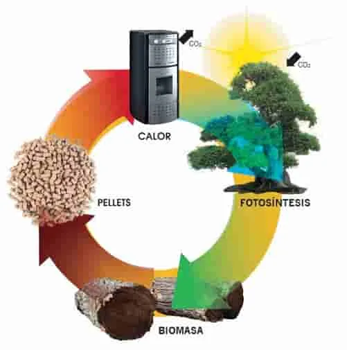La revolución de la energía de biomasa y su papel en la sostenibilidad.